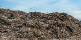 С июля для жителей Ленобласти вырастут тарифы на вывоз мусора