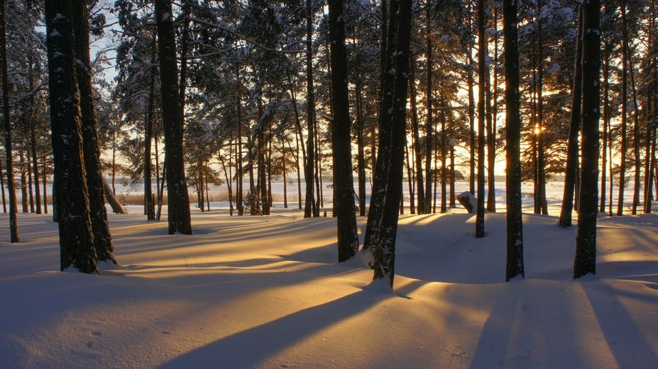 зима в Приморске