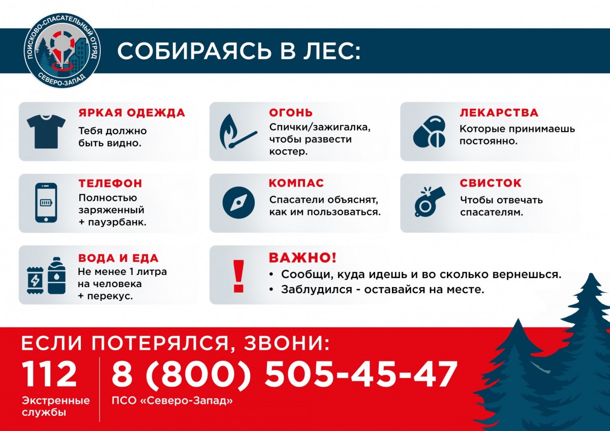 Памятка: Собираясь в лес