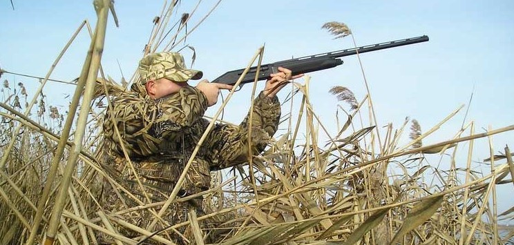 открытие сезона охоты в россии