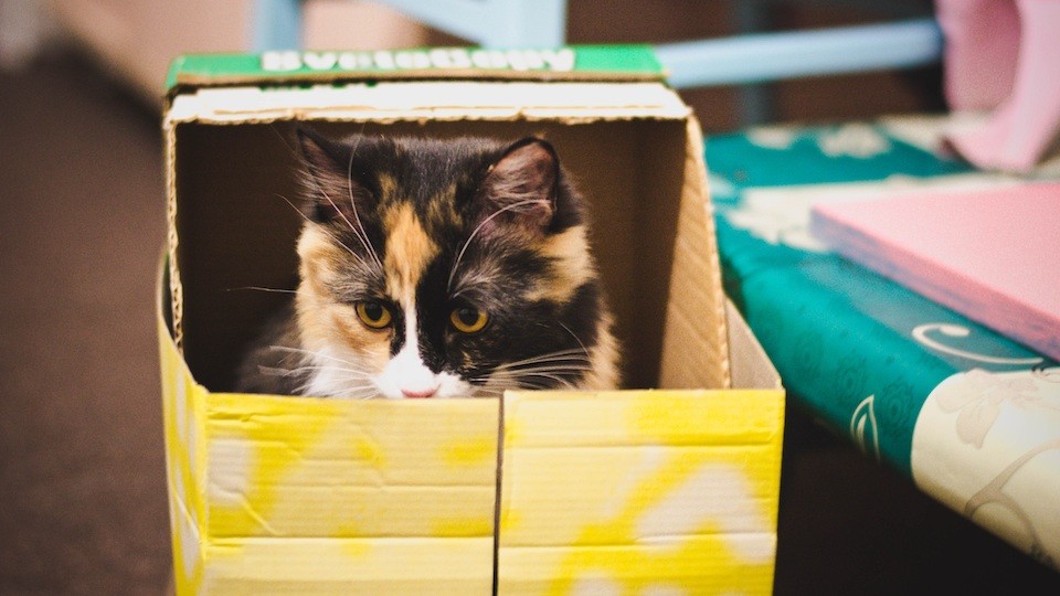 Дом для кота из картона