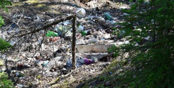  Губернаторские гранты 