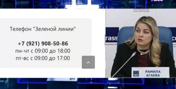 В Ленобласти стартовала ёлочная кампания, идёт подготовка к программе «Чистые леса»