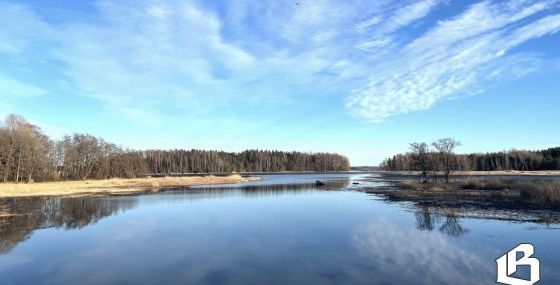 Весеннее равноденствие: астрономическая весна вступает в права