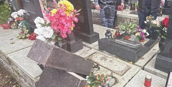 Наряд Росгвардии задержал правонарушителя, повредившего надгробие на кладбище в Санкт-Петербурге   