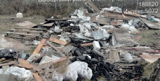 Лес в Выборгском районе очистили от огромной свалки