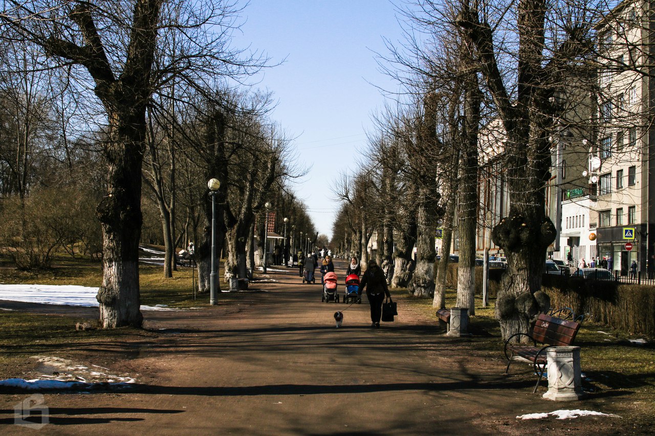 Парк Ленина Ленинград. Зарайск парк Ленина. Парк Ленина в феврале. Парк Ленина Эстетика.