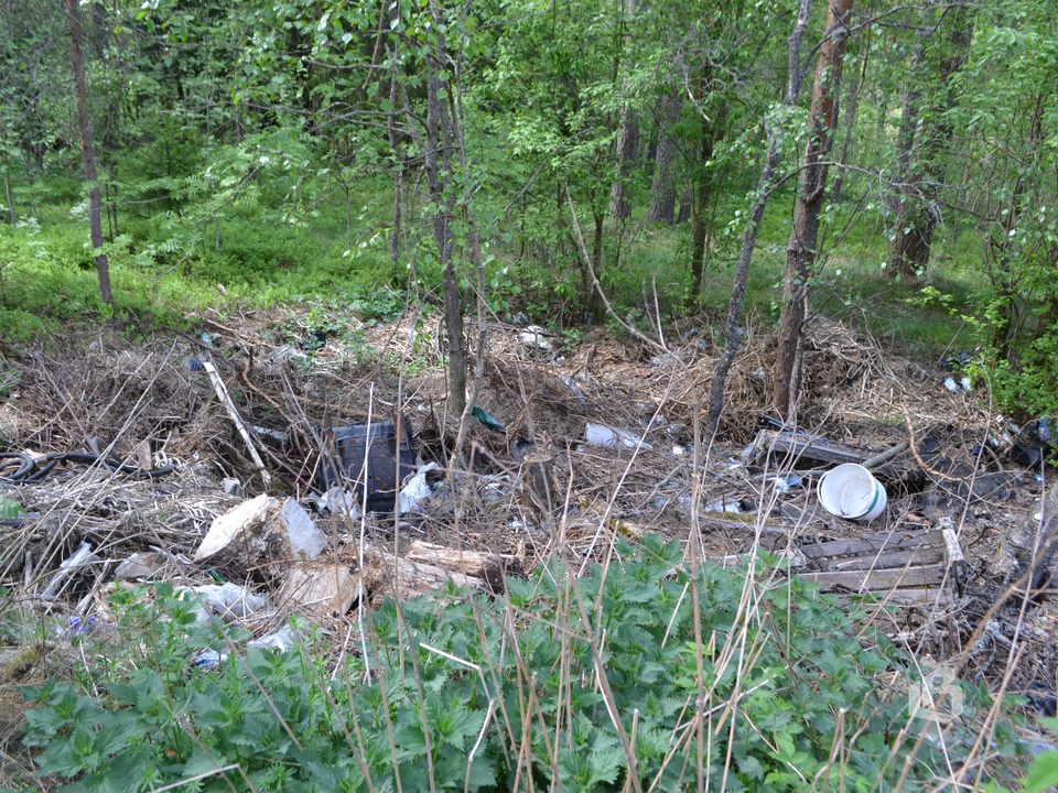 Поселок Черничное привлекает обустроенными мусорными площадками