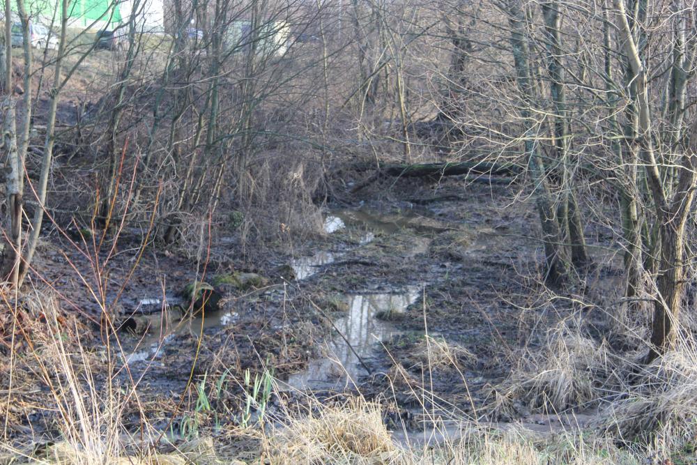 Выборгская администрация остановила строительные работы в Петровском микрорайоне