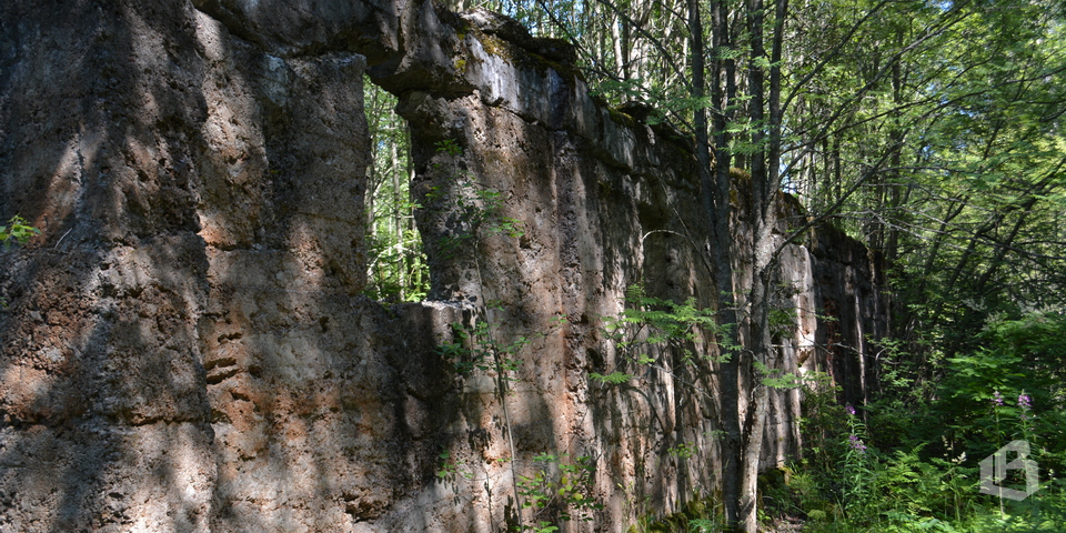 На экскурсии по Выборгской крепости побывала молодёжь Селезнёвского поселения 