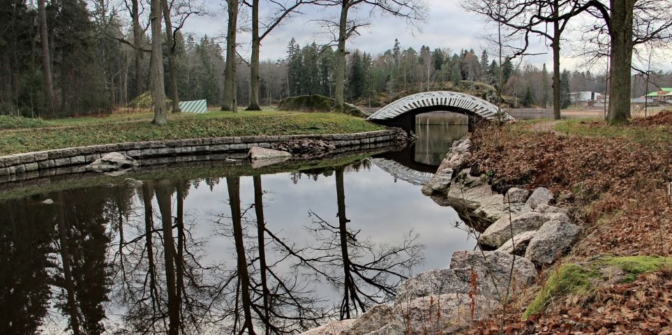 Парк монрепо осенью фото