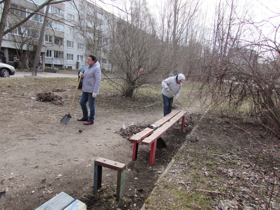 Музыкальная школа Выборга вышла на весенний субботник