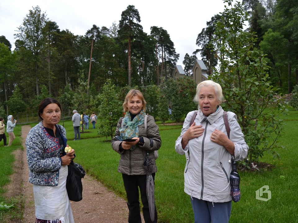 В Яблочный спас парк Монрепо открыл вход в Топиарный фруктовый сад