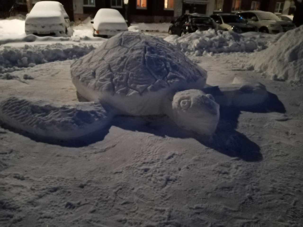 В Выборге пенсионер украсил двор снежными скульптурами
