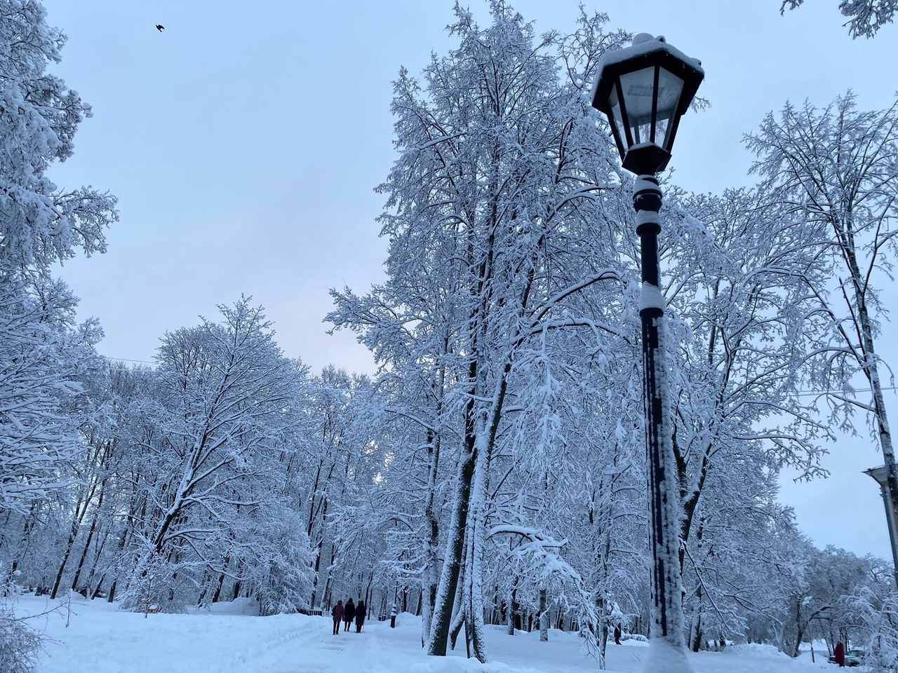 Выборжцы делятся красивыми фото заснеженного города