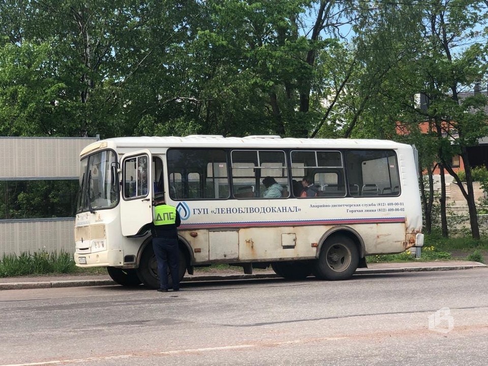 Профилактическая операция "Автобус" в Выборге выявляет нарушителей