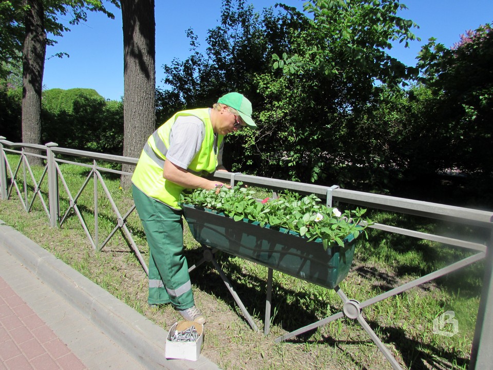 В Выборге устанавливают вазоны 