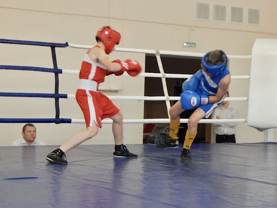 Боксёры из Выборга и Ленинградской области вышли на ринг 