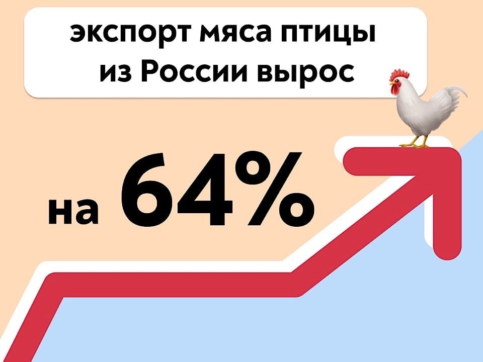 Россия за год увеличила экспорт мяса птицы на 64% 