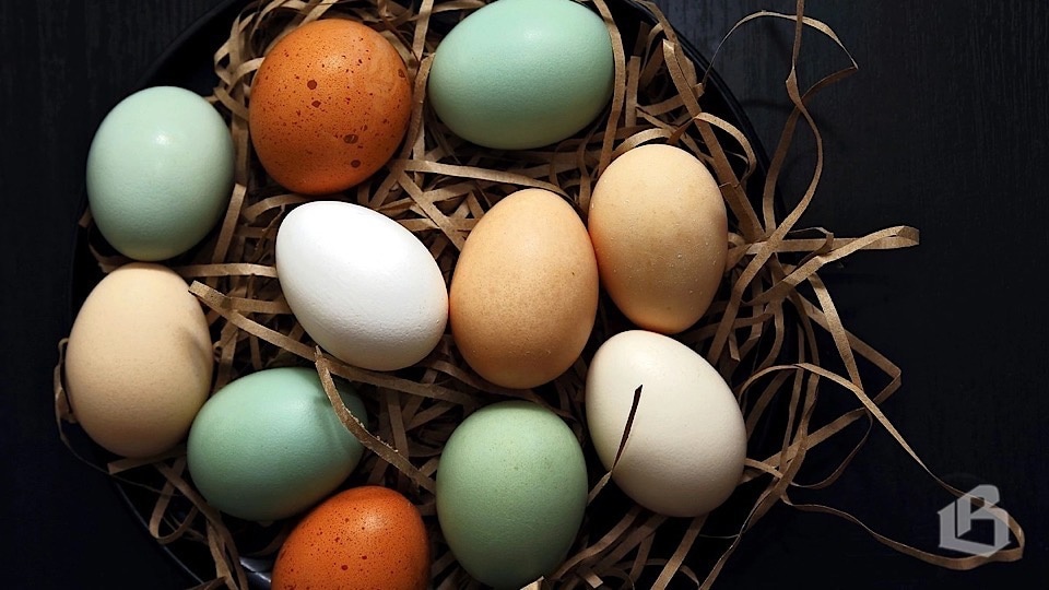 Окрашивание яиц. Яйца окрашенные 3 шт. Окрашивание яиц шафраном в желтый цвет. Яйца в нитках. Купить яйца в ленинградской
