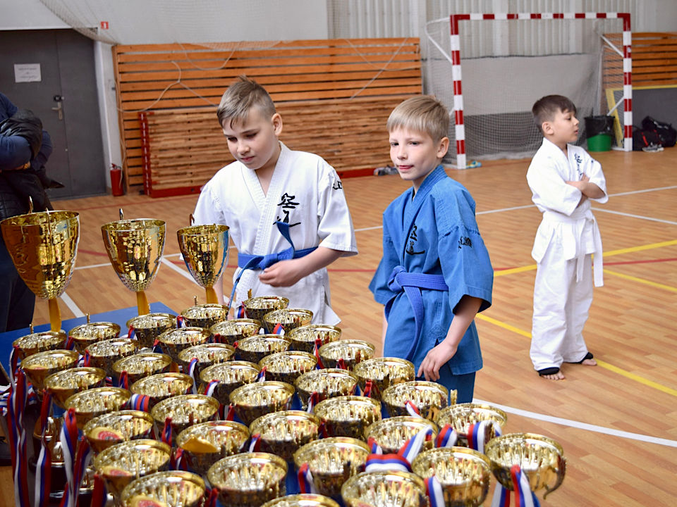 Кудоисты провели в Выборге турнир в честь Дня Победы