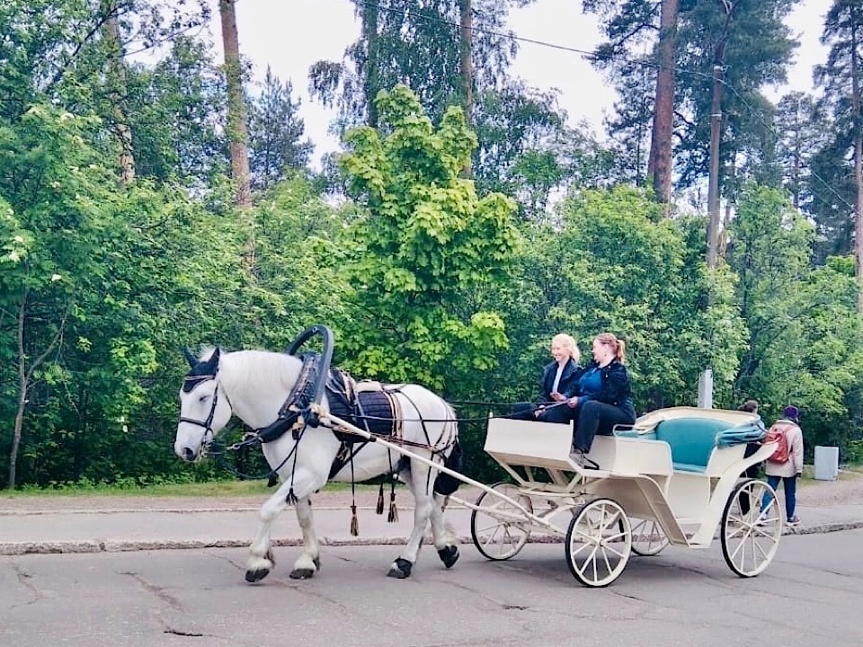И вновь в Монрепо чествуют сирень 