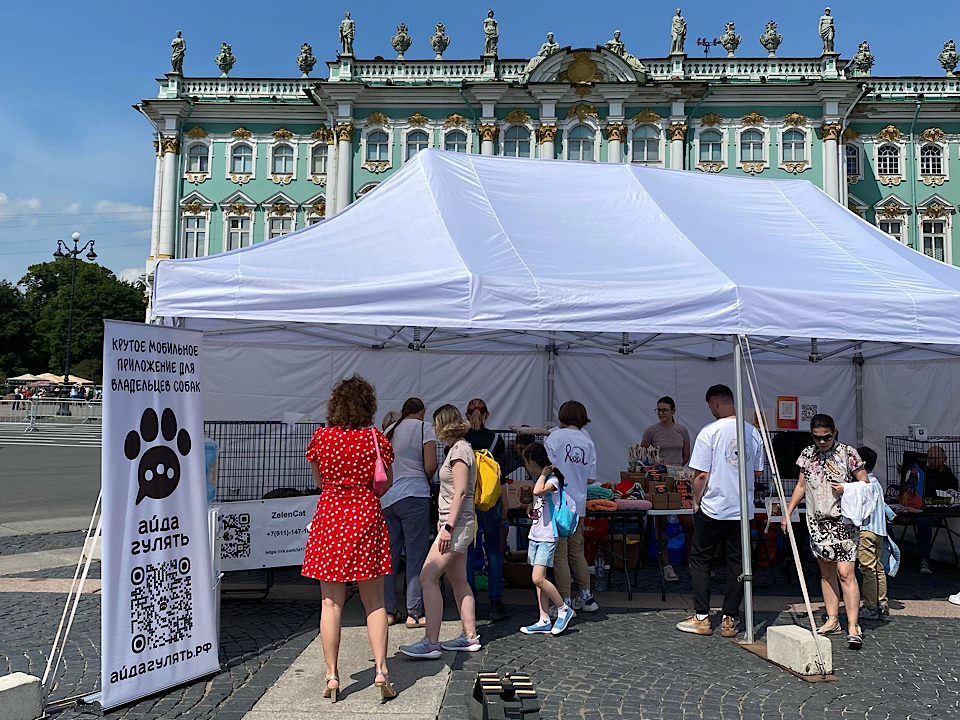 На Дворцовой площади Петербурга кошки обретают дом 
