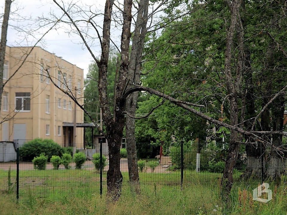 Время собирать деревья