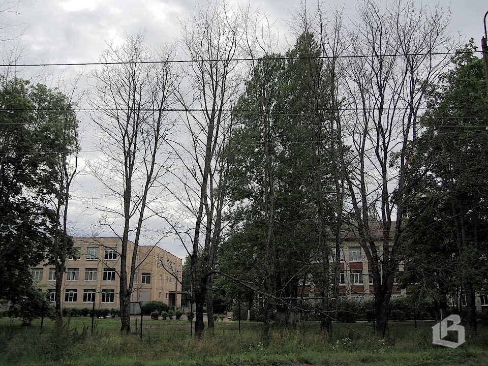 Время собирать деревья