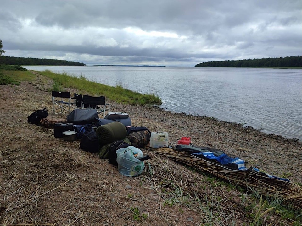 Эконадзор добрался до «Кивипарка» и обнаружил там нарушителей 