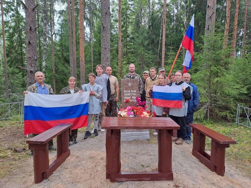 В Ленобласти вновь приступили к лесовосстановительным мероприятиям 