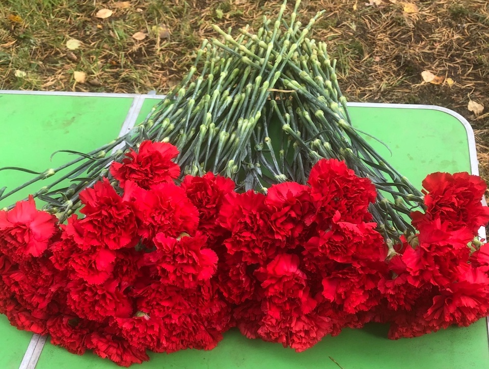 Воины обрели вечный покой под Лесогорским