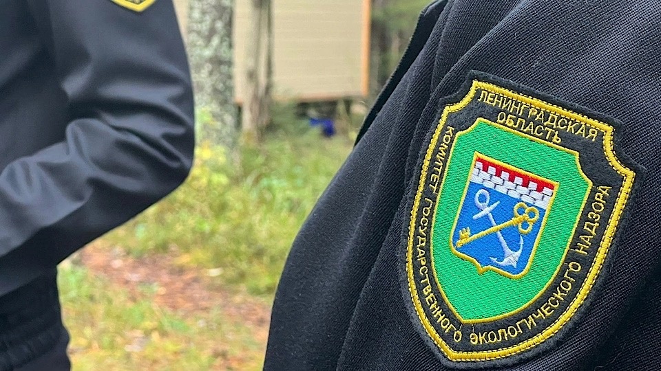 Эконадзор. Эконадзор. Эконадзор. Эконадзор. Эконадзор орел.