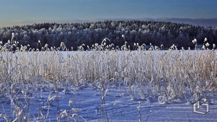 В Финляндии побит температурный рекорд XXI века