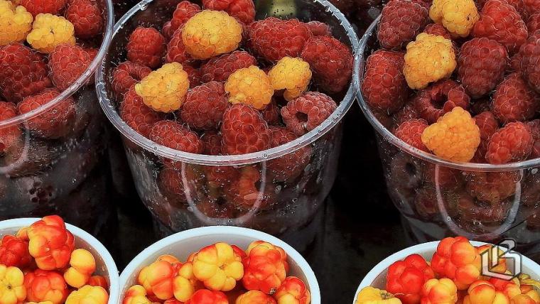 Помощь аграрному сектору России будет увеличена