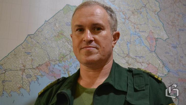 «Волк растерзал собаку под Выборгом». Мнение специалиста