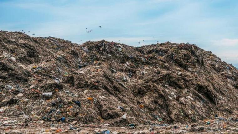 С июля для жителей Ленобласти вырастут тарифы на вывоз мусора