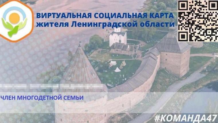 В Ленобласти запускают сервис «Виртуальная соцкарта»