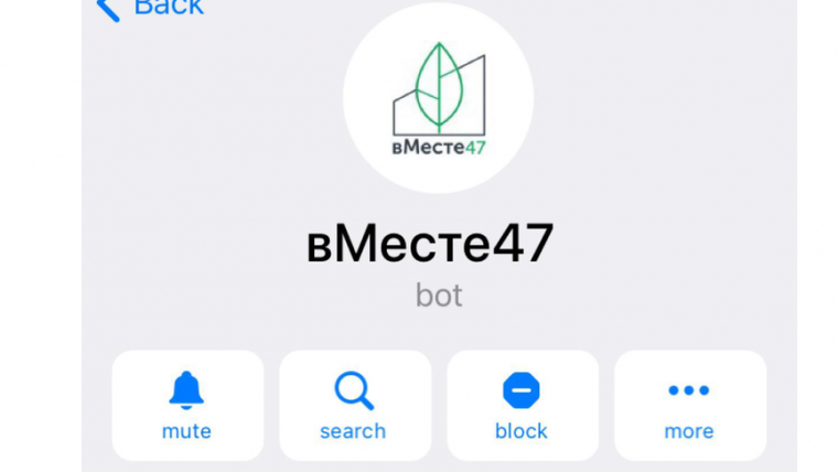 Рассказать о желаемом благоустройстве в Ленобласти теперь можно через чат-бот