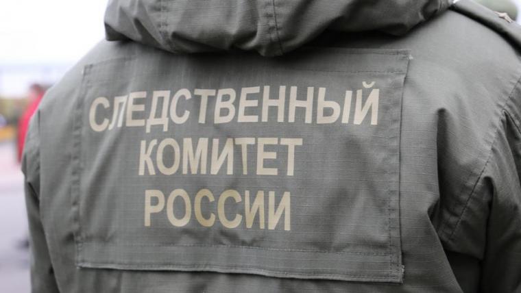 В Следкоме занялись выборгским тренером, который избивал воспитанника