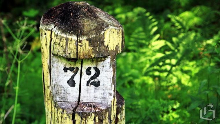 Лесные кварталы, большие массивы