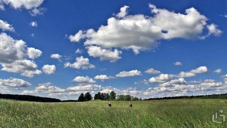 Депутаты хотят передать федеральному центру право курировать сельхозземли