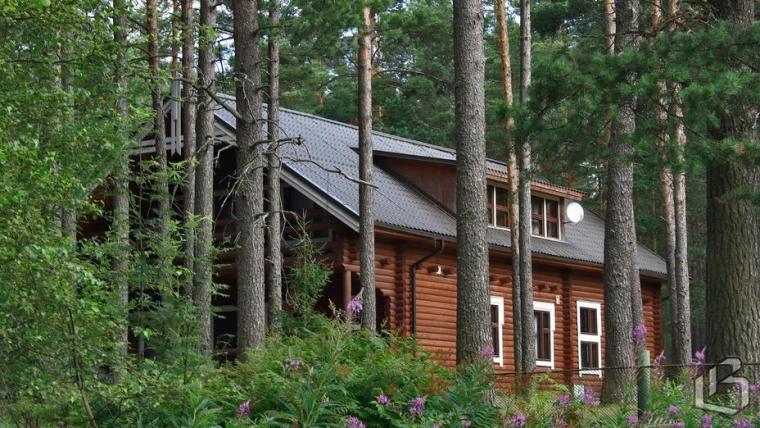 В России собираются провести трехгодичный эксперимент с гостевыми домами