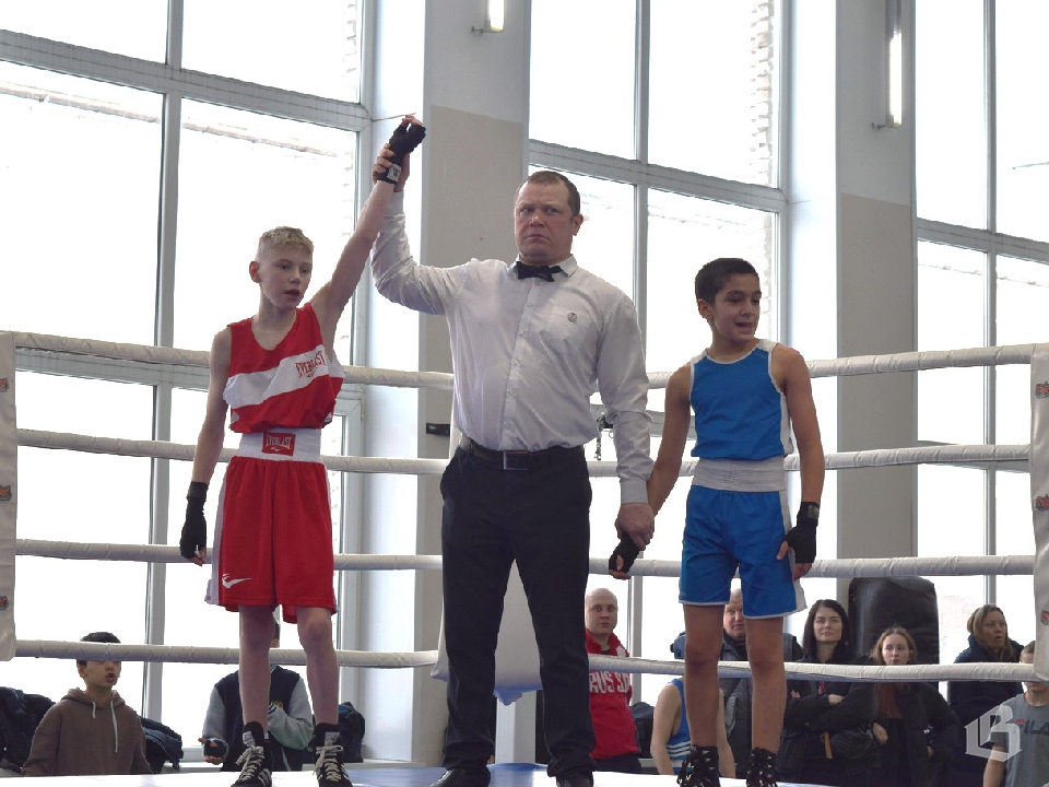 Ринг выявляет лучших