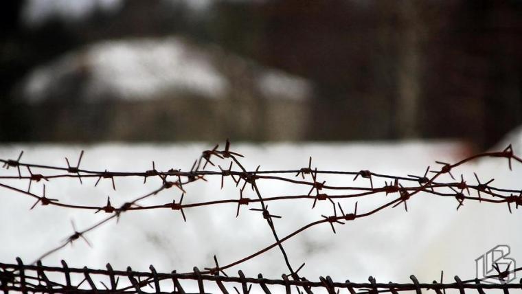 Депутата Шадаева суд отправил под стражу до 19 апреля