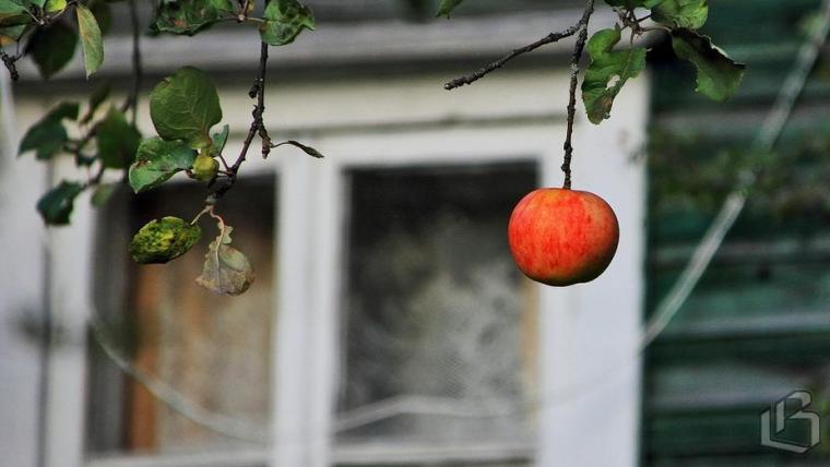 СНТ в границах населенных пунктов дождутся газификации