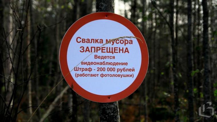 В Выборгском районе появятся видеокамеры фиксации нарушений природоохранного законодательства