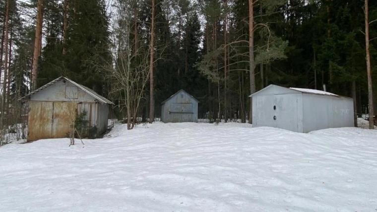 Прокурорская проверка подтвердила незаконный самострой на землях лесфонда