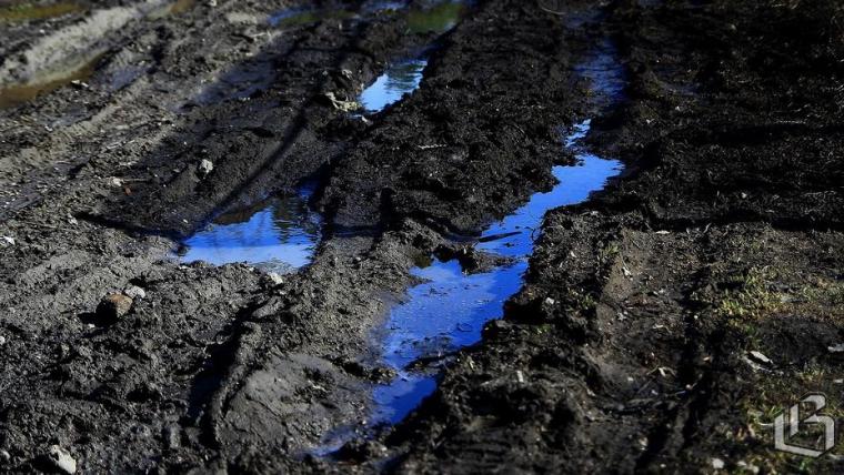 Через год СНТ смогут передать общее имущество муниципалам или в госсобственность