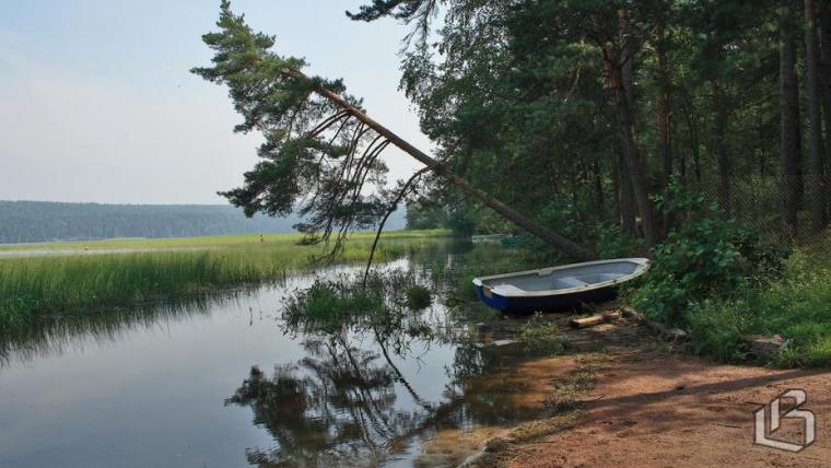 В Минприроды услышали дачников и отдыхающих